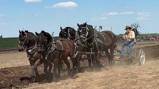 Bryan Moon Plow Day