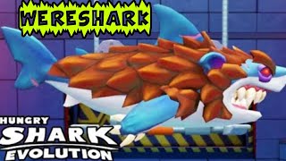 Hungry Shark Evolution Gameplay(Android & ios) ||wereshark is killing them all😱😱😱 | The Wolf