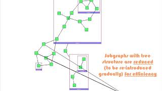 CoSE compound spring embedder layout
