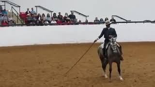 Carlos Salguero and Delirio || Nationals for Haras Dos Cavaleiros