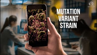 EXPLAINER: Ano ang pagkakaiba ng mutation, variant, at strain?