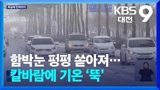 대전·세종·충남 함박눈 펑펑 쏟아져…칼바람에 기온 ‘뚝’ / KBS  2025.02.07.