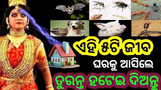 ଘରକୁ ଏହି ପାଞ୍ଚଟି ପଶୁ ଆସିଲେ ଘରର ସର୍ବନାସ ହୋଇଥାଏ ଘରେ ଶୁଖ ଶାନ୍ତି କେବେ ହେଲେ ଆସେ ନାହିଁ//vastushastr//