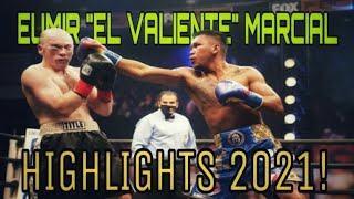 Eumir Felix Marcial Career Highlights