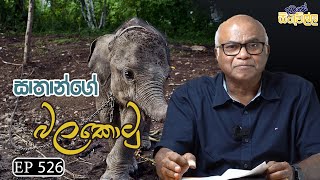 Dawase sithuwilla | සාතාන්ගේ බලකොටු ? | EP 526