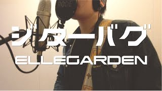 【エルレ復活だってさ！】ジターバグ/ELLEGARDEN 本気で全部演奏して歌ったった！【フル歌詞付,完コピ】