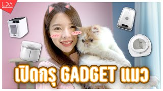 เปิดกรุรีวิว Gadgets แมวที่ออยใช้จริง! ควรหรือไม่ควรซื้อ? คลิปเดียวจบ ครบทุกอย่าง 🐱 | LDA World