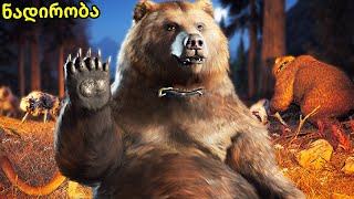 დათვზე ნადირობა ტყეში , გარეული ცხოველები - Far cry new dawn ქართულად E3