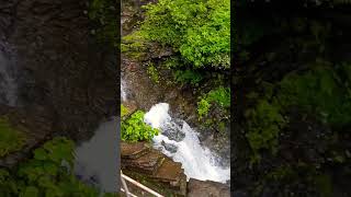 Bheemeshwara Waterfalls | Bhatkala-Sagara highway | Kodachadri trekking #like #shortvideo #respect