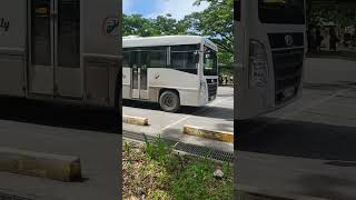 현대에서 만든 필리핀 스타일 버스🚌