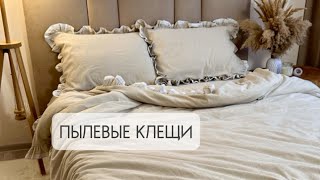 Пылевые клещи: не хотите астму, смотрите это видео