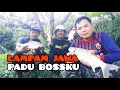 Mancing ikan lampam jawa umpan dedak ayam tambah dedak 929 | #24