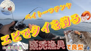 エビ🦐でタイを🎣今季初一つテンヤ【瀬戸内海】