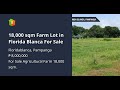 18,000 sqm Farm Lot in Florida Blanca For Sale