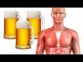 See What Happens To Your Body When You Drink A Pint Of Beer Everyday