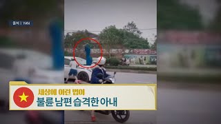 베트남, 습격과 난동 [세상에 이런 법이?]