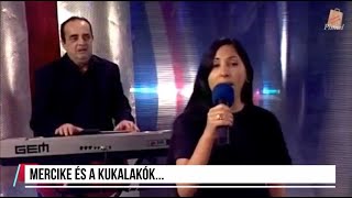 Best Budapest Tv Reloaded (Kretén Edition)