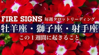 【1/4-1/10】今週の牡羊座・獅子座・射手座☆すべてはこの出会いのために。これまでの自分は間違ってなかった☆《FIRE SIGNS》週間タロットリーディング