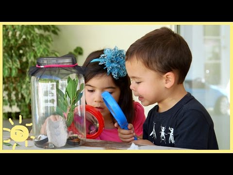 PLAY | 3 Easy Bug Habitats PLAY | 3 Easy Bug Habitats