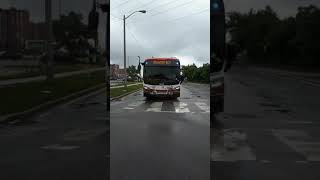 Rare! 3 Electric Training Buses near Kennedy Station