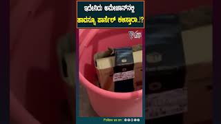 Amazon | ಬೆಂಗಳೂರಿಗೆ ಅಮೆಜಾನ್‌ ಬಾಕ್ಸ್‌ನಲ್ಲಿ ಬಂತು ನಾಗರಹಾವು, ಪಾರ್ಸೆಲ್‌ ತೆಗೆದು ನೋಡಿ ಹೌಹಾರಿದ ದಂಪತಿ..!