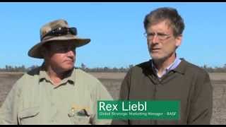 Sharpen Herbicide  Brazil Farming