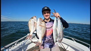 Snapper and Mackerel Fishing (MORETON BAY)