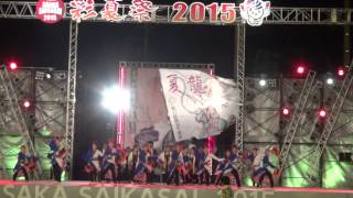 夏龍颯爽＠2015　彩夏祭前夜祭