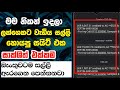 How To Earn E-Money For Sinhala | best E-money site 2024 | Live withdrawal To Bank