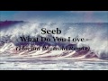 seeb what do you love florian paetzold remix