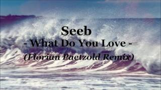 Seeb - What do You Love (Florian Paetzold Remix)