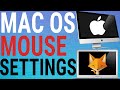 How To Adjust Magic Mouse Settings on Mac OS