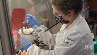 UC San Diego presses for vaccine against coronavirus