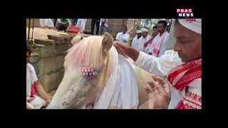Bizarre: White Horse superstition in Gohpur's Jalukbari in Assam