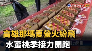 高雄那瑪夏螢火紛飛 水蜜桃季接力開跑－民視新聞