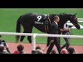 ファンディーナ、リゲルsのパドック。現地映像、阪神競馬場