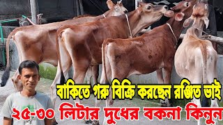 ভালো মানের ২৫-৩০ লিটার দুধের বকনা দিয়ে খামার করে সফল খামারী হন। বাকিতে গরু বিক্রি করছেন রঞ্জিত ভাই