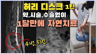 허리디스크 환자가 직접 말해주는 약 시술 수술 없이 자연치유한 찐 경험사례/ 약으로 할수 없는 근본적인 치료 / 허리디스크 원인