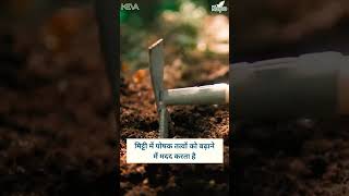 Kaipo Agro Booster || हर प्रकार की फसल के लिए उपयोगी || Keva Kaipo Official #shortsvideo