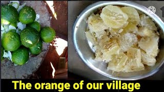 Desi Orange( ଦେଶୀ କମଳା)