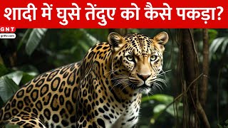 Lucknow में शादी में Leopard की एंट्री, दूल्हा-दुल्हन अलग-अलग कमरों में हो गए बंद