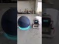 cozmo asks alexa to fart part 2 shorts