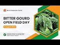 Bitter Gourd Open Field Day 2024 | August 6, 2024