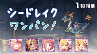 【プリコネR】1段階目シードレイク　物理ワンパン【6月クランバトル】