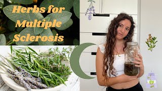 Herbs for Multiple Sclerosis // Pain Management, Chronic Fatigue and Inflammation