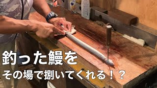 簡単にウナギを釣って捌いて蒲焼を食べる【放生会】