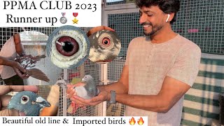 PPMA OverAll Club 2023 RUNNER UP | MR.JAVED SHAIK -42 WINGS | Part-1|NELLORE BIRDS AND PETS #pigeon