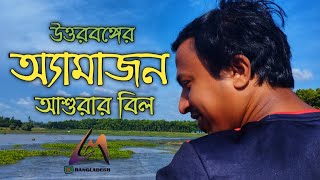 উত্তরবঙ্গের অ্যামাজন আশুরার বিল