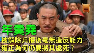 年羹堯被解除兵權後，毫無造反能力，雍正為何仍要將其處死？