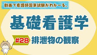 『基礎看護学 #28』排泄物の観察【看護学生向け看護師国家試験講座】